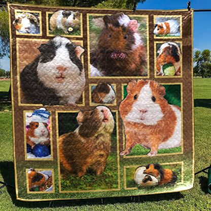 Guinea Pig CLM1511243 Quilt Blanket