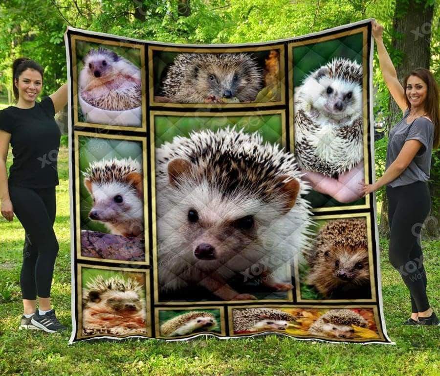 Hedgehog CL05100051MDQ Quilt Blanket