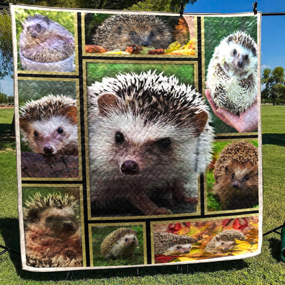 Hedgehog CL05100051MDQ Quilt Blanket