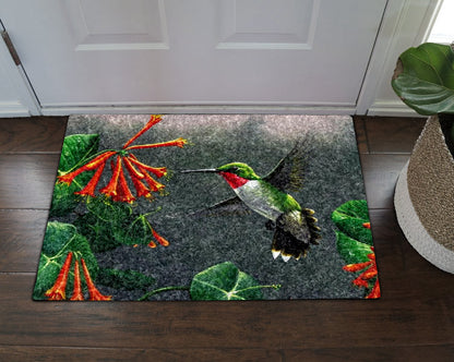 Hummingbirds HN290720 Non-slip Door mats