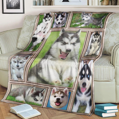 Husky Cute CLA1910619F Sherpa Fleece Blanket