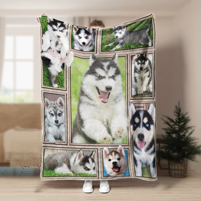 Husky Cute CLA1910619F Sherpa Fleece Blanket