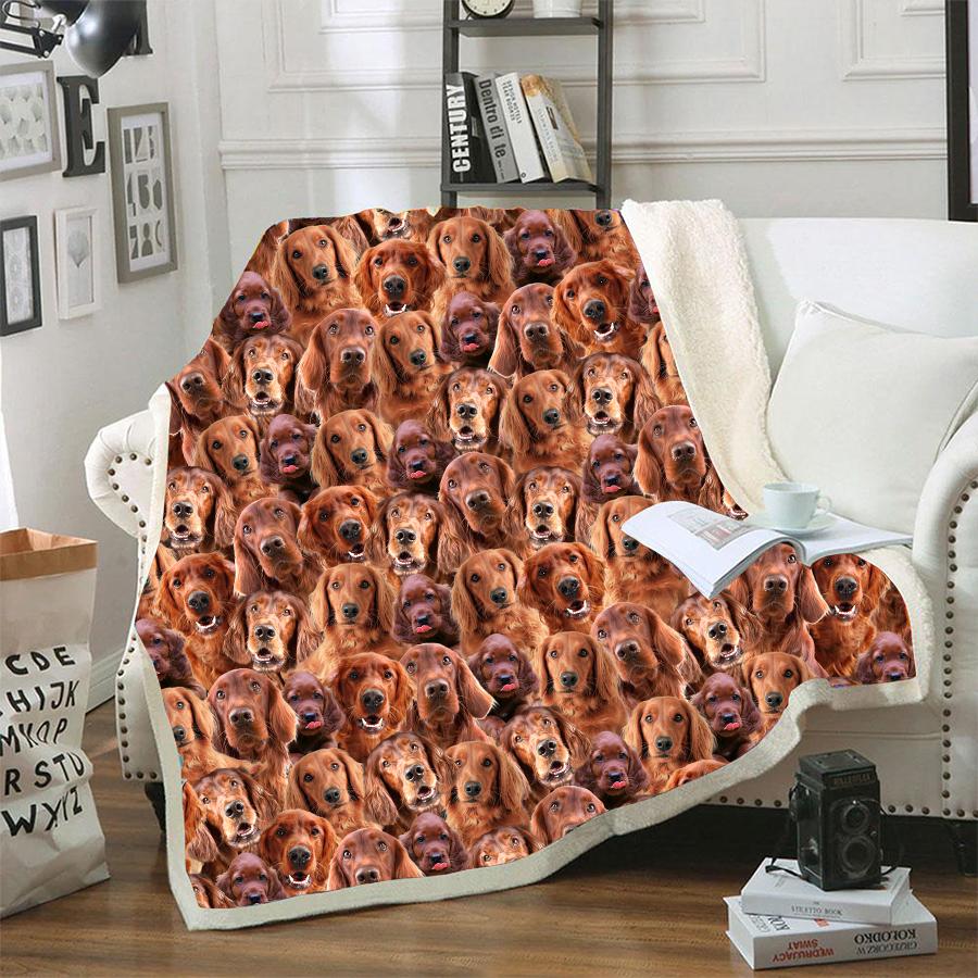 Irish Setter CLM3110177S Sherpa Fleece Blanket