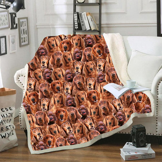 Irish Setter CLM3110177S Sherpa Fleece Blanket