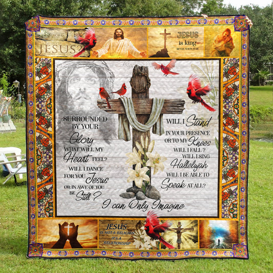 Jesus Cardinal - Surrounded By Your Glory  Quilt Blanket TL150603Y