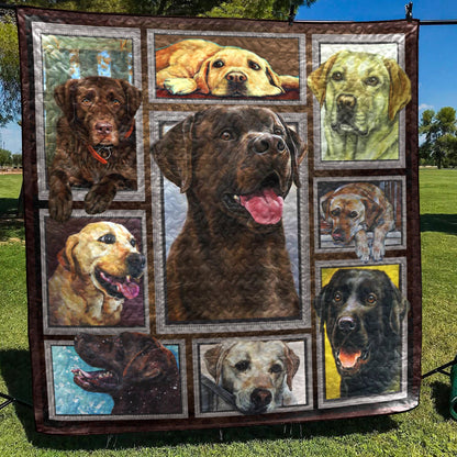 Labrador Retriever CL08110282MDQ Quilt Blanket