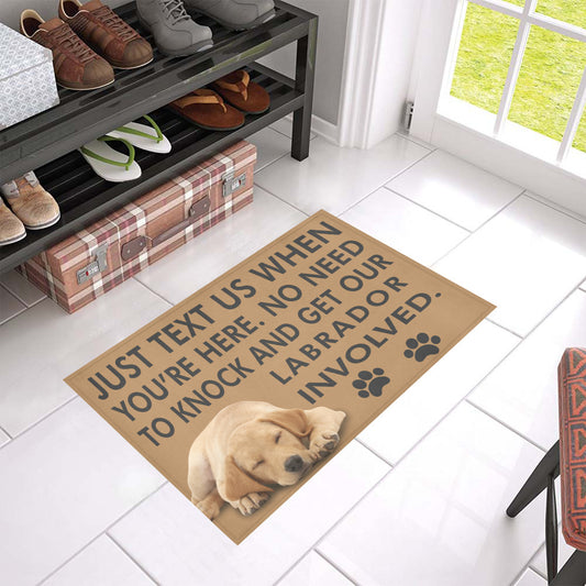 Labrador CL09100122MDD Non-slip Door mats