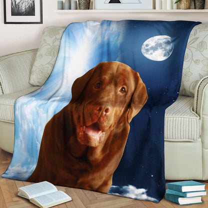 Labrador CL140851MD Sherpa Fleece Blanket