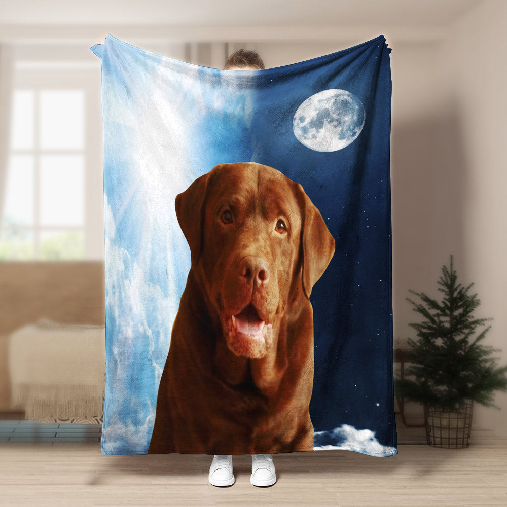 Labrador CL140851MD Sherpa Fleece Blanket