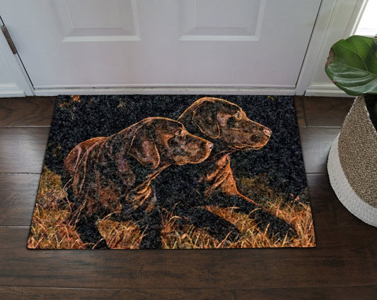 Labrador CL270841MDD Non-slip Door mats