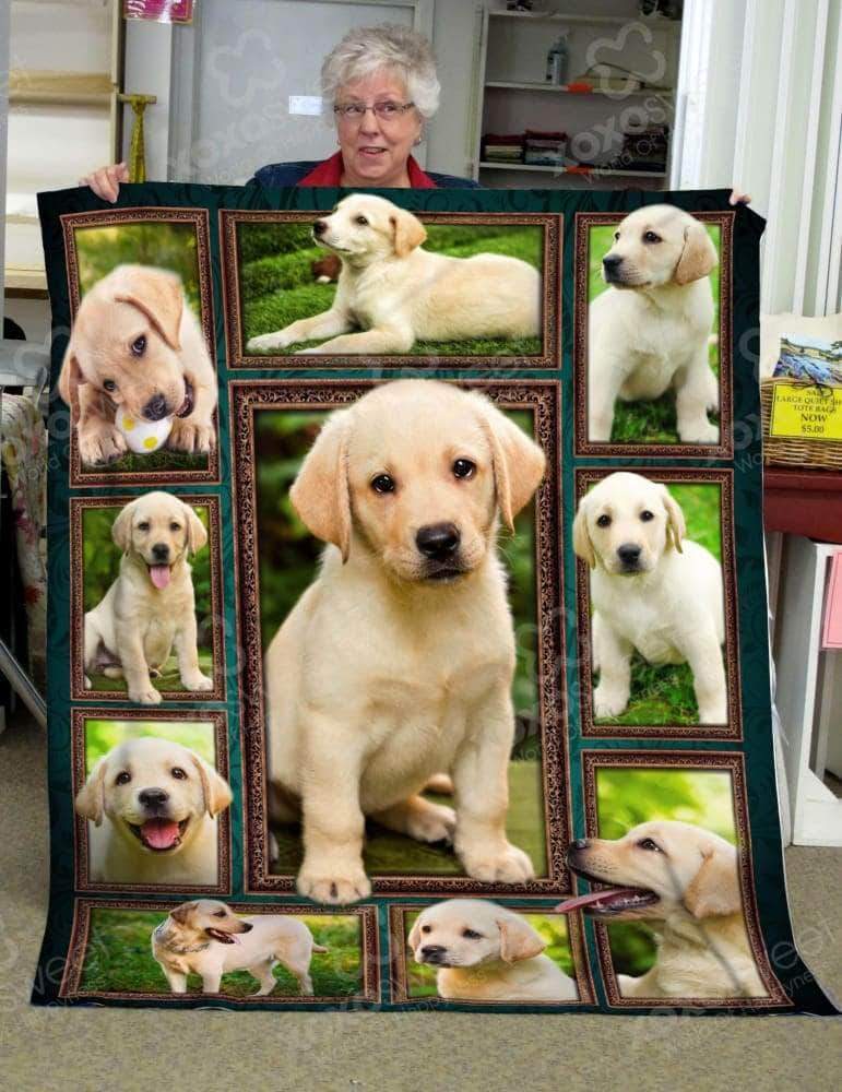 Labrador Retriever CL05100318MDF Sherpa Fleece Blanket