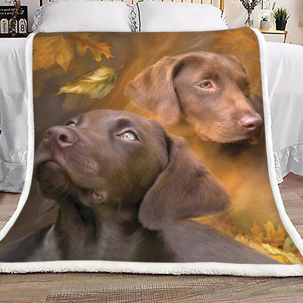 Labrador Retrievers TT1809101TT Sherpa Fleece Blanket