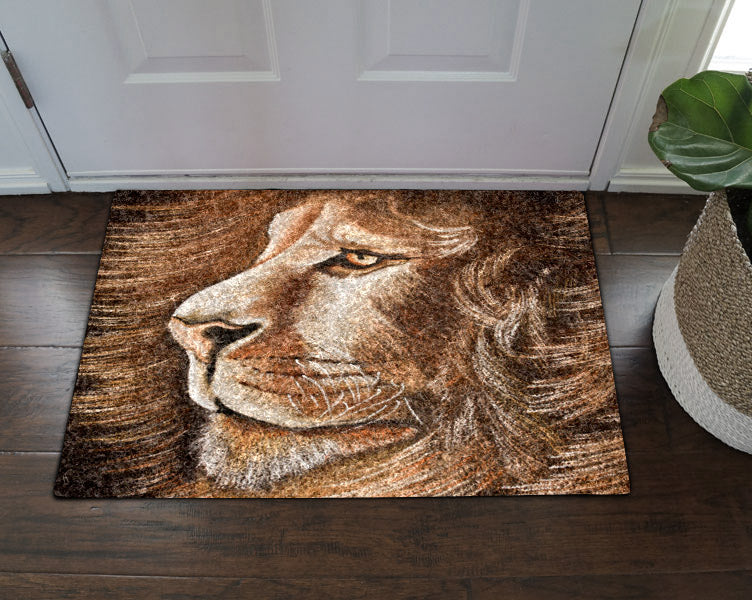 Lion HN280961D Non-slip Door mats
