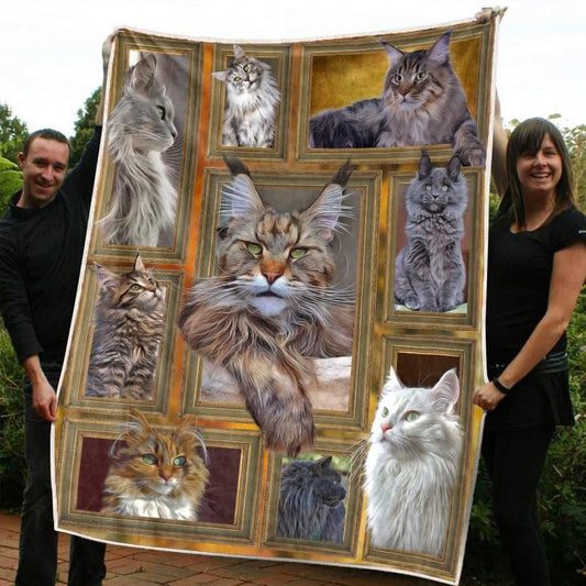 Maine Coon Cat CL20110794MDF Sherpa Fleece Blanket