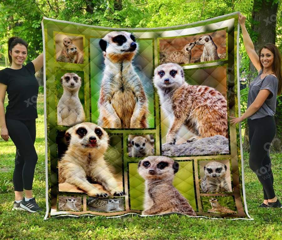 Meerkat CL05100063MDQ Quilt Blanket