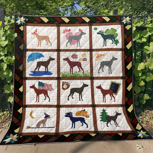 Miniature Pinscher TL310535 Quilt Blanket