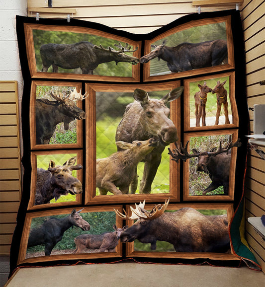 Moose Cute Quilt Blanket TM031106