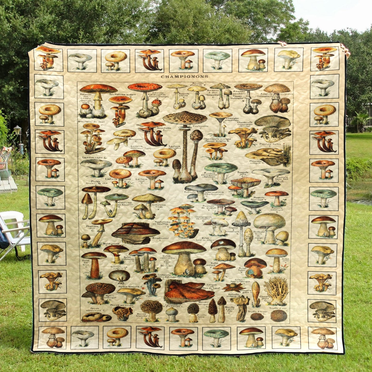 Mushroom CL08110302MDQ Quilt Blanket