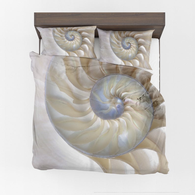 Nautilus Shell CLA0310427B Bedding Sets