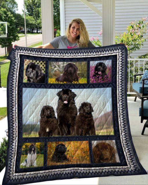 Newfoundland CLH0711133Q Quilt Blanket