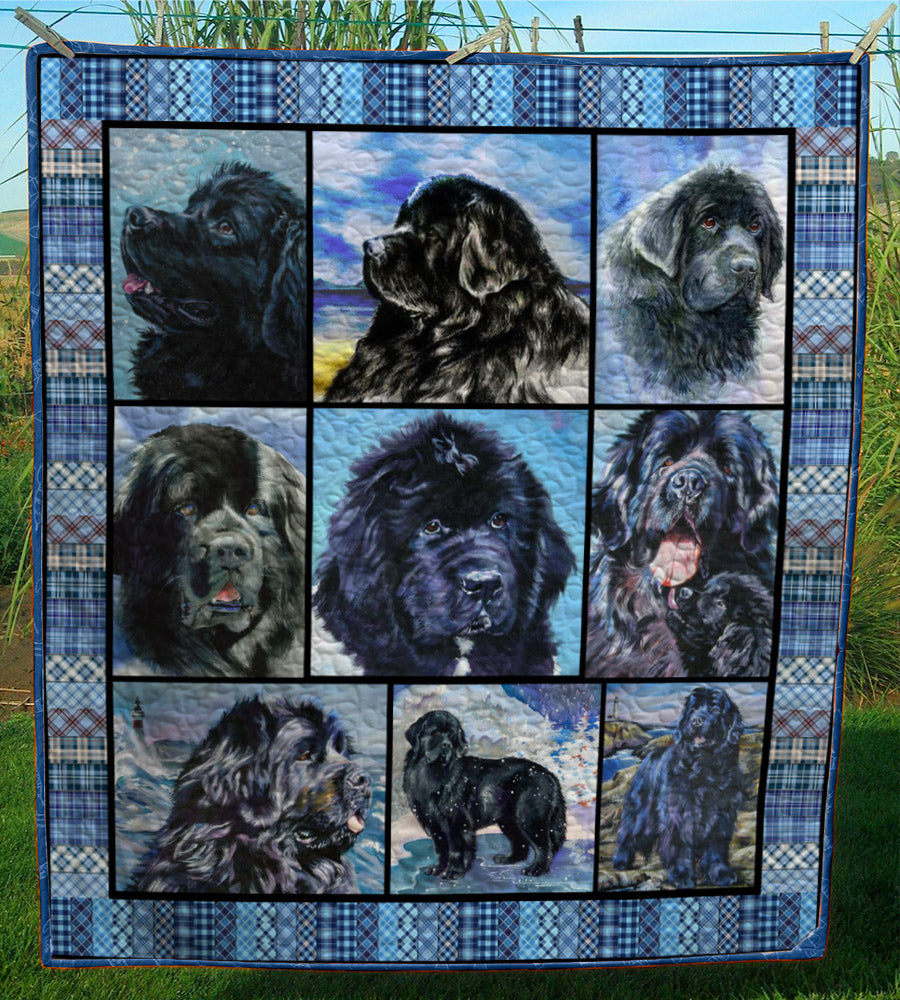 Newfoundland Dog CL28100924MDQ Quilt Blanket