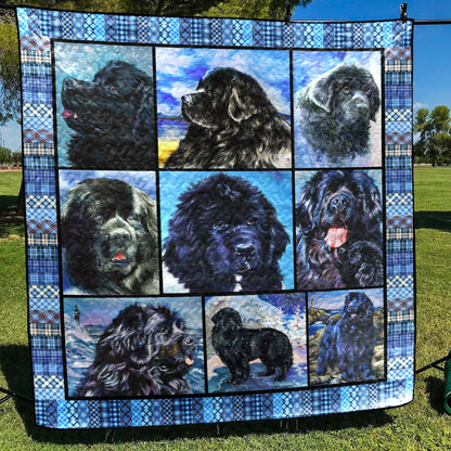 Newfoundland Dog CL28100924MDQ Quilt Blanket