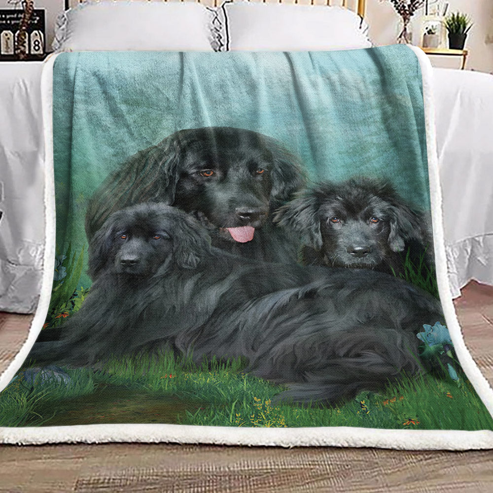Newfoundland DD2310212F Sherpa Fleece Blanket
