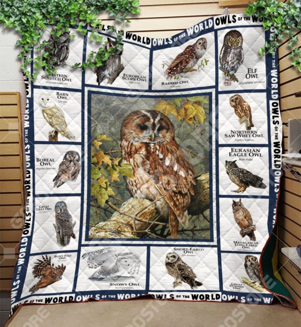 Owl Beautiful Owl Art CL16110275MDQ Quilt Blanket