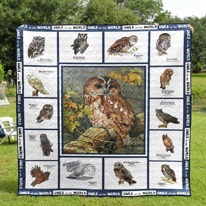 Owl Beautiful Owl Art CL16110275MDQ Quilt Blanket