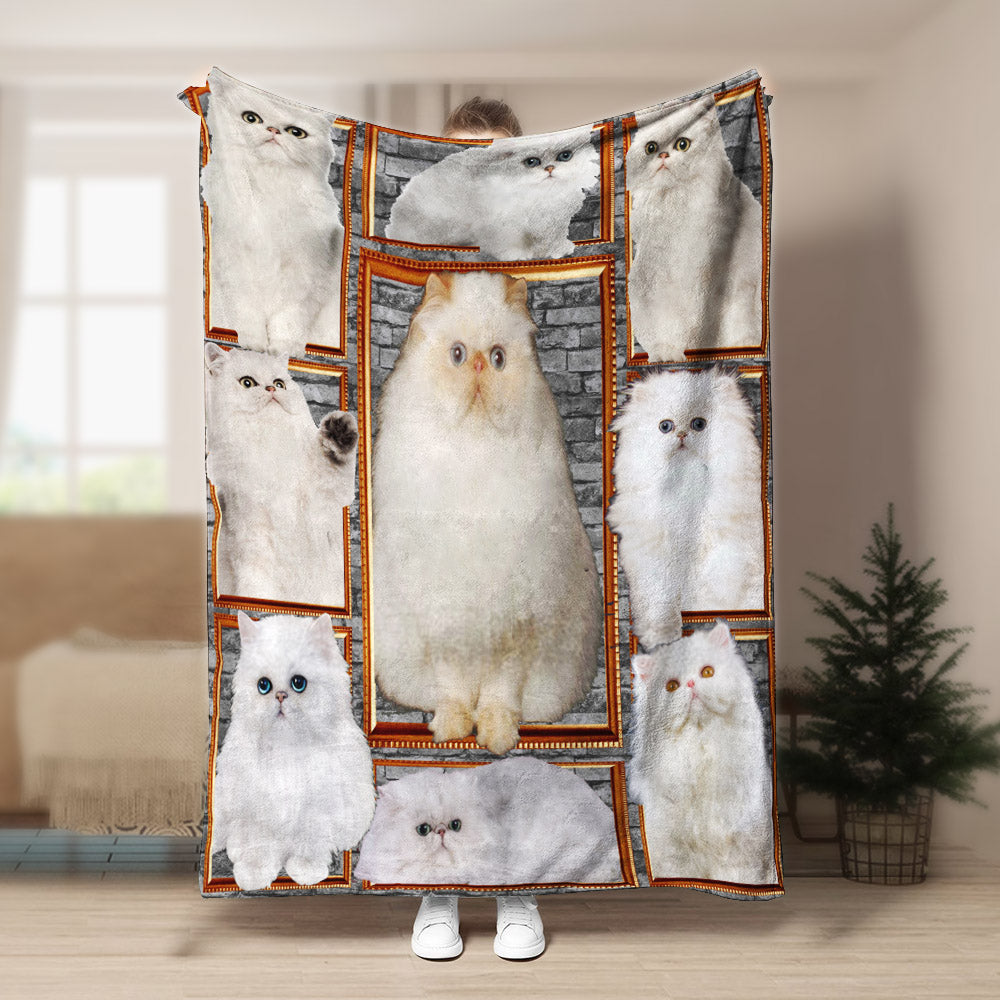 Persian Cat CLA21100979F Sherpa Fleece Blanket