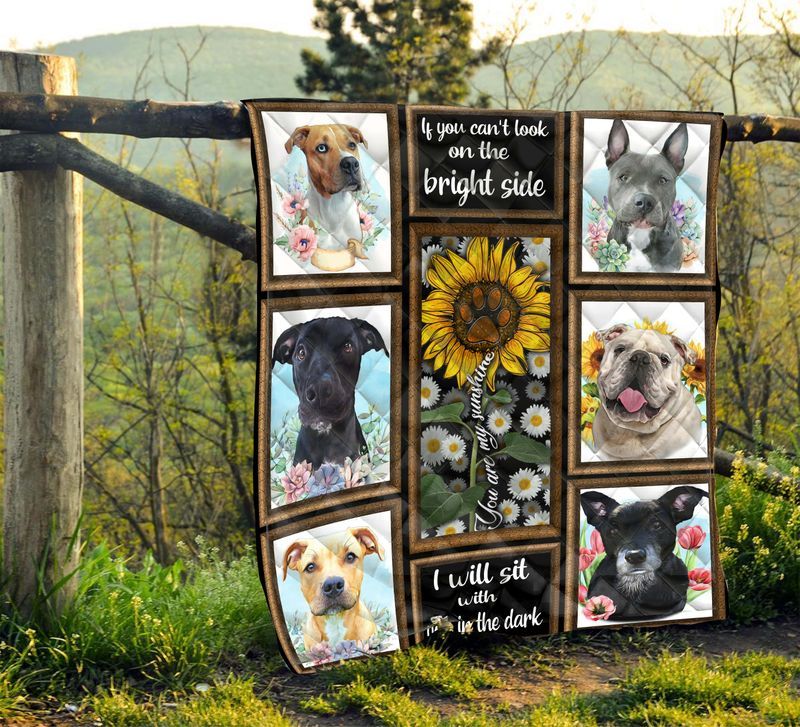 Pit Bull CL05120275MDQ Quilt Blanket