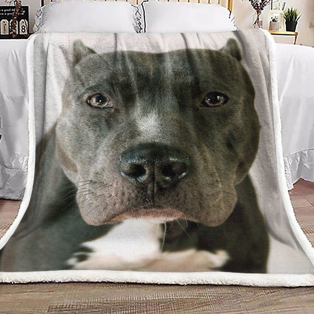 Pitbull NT0210188F Sherpa Fleece Blanket