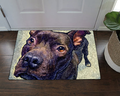 Pitbull CL270861MDD Non-slip Door mats