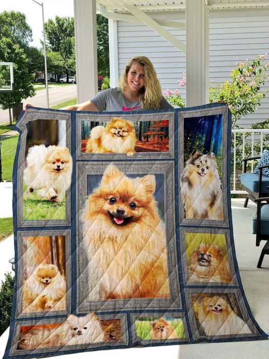 Pomeranian I Like Your Eyes CLA31100977Q Quilt Blanket