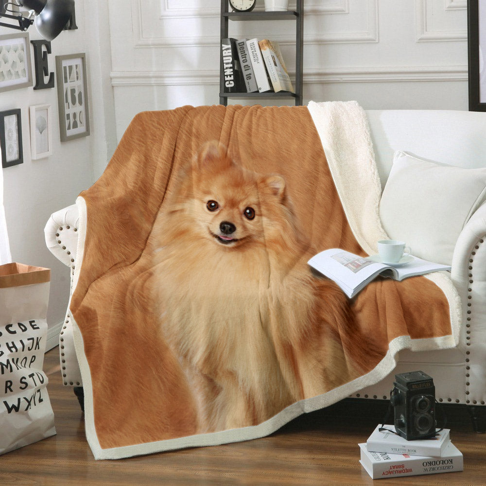 Pomeranian CLP270850 Sherpa Fleece Blanket