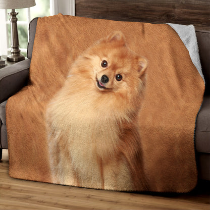 Pomeranian CLP270850 Sherpa Fleece Blanket