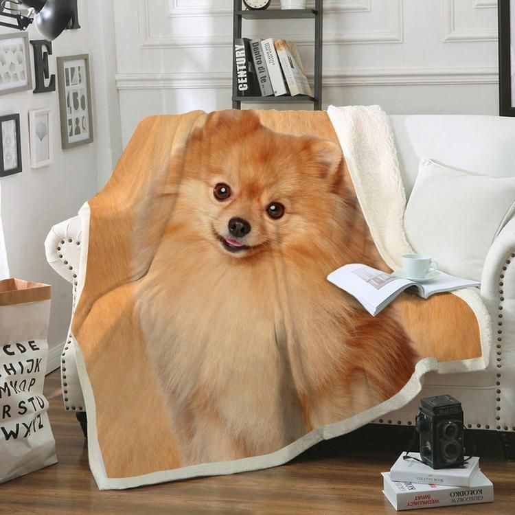 Pomeranian CL20110876MDF Sherpa Fleece Blanket
