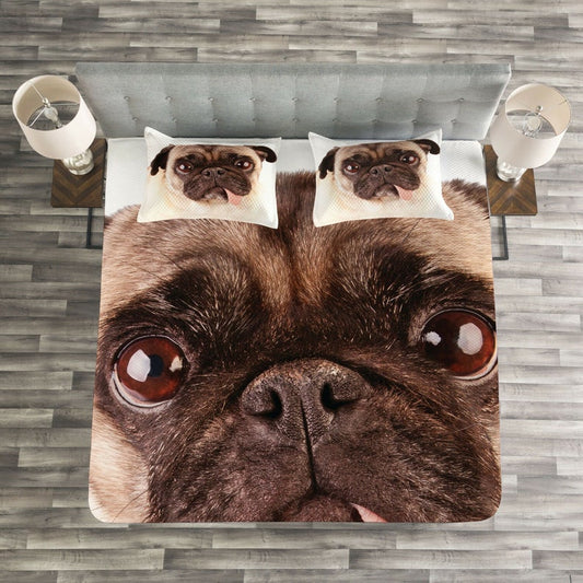 Pug CLA0310485B Bedding Sets