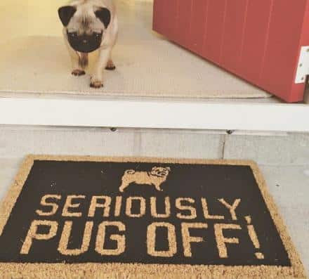 Pug Seriously Pug Off CLP0111123D Non-slip Door mats