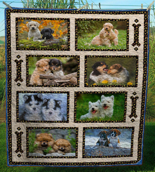 Puppy Dogs CL24100237MDQ Quilt Blanket