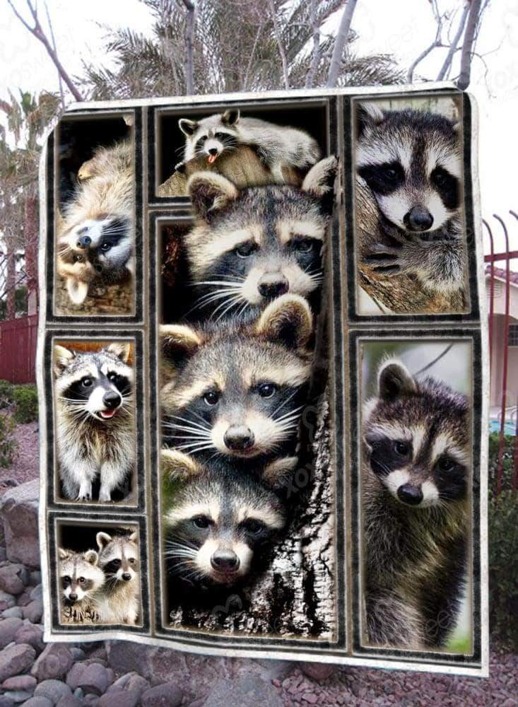 Raccoon Premium CL05100423MDF Sherpa Fleece Blanket