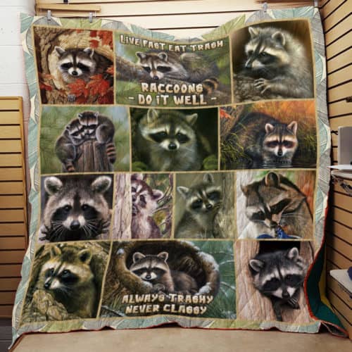 Racoon CL22100448MDQ Quilt Blanket