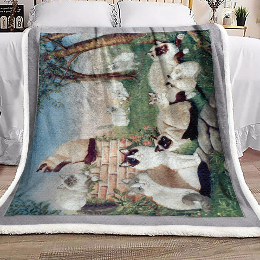 Ragdoll Cat NT1111246F Sherpa Fleece Blanket