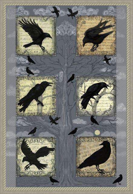 Raven CLA0910551Q Quilt Blanket