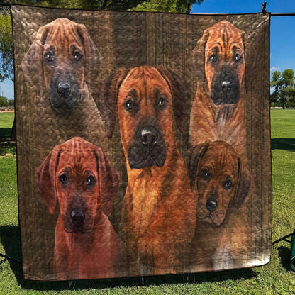 Rhodesian Ridgeback CL18111340MDQ Quilt Blanket