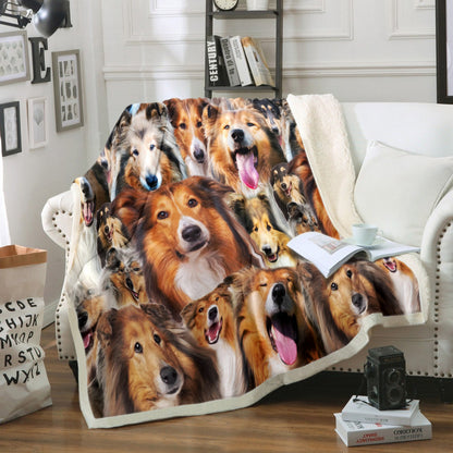 Rough Collie Dog HM170827T Sherpa Fleece Blanket