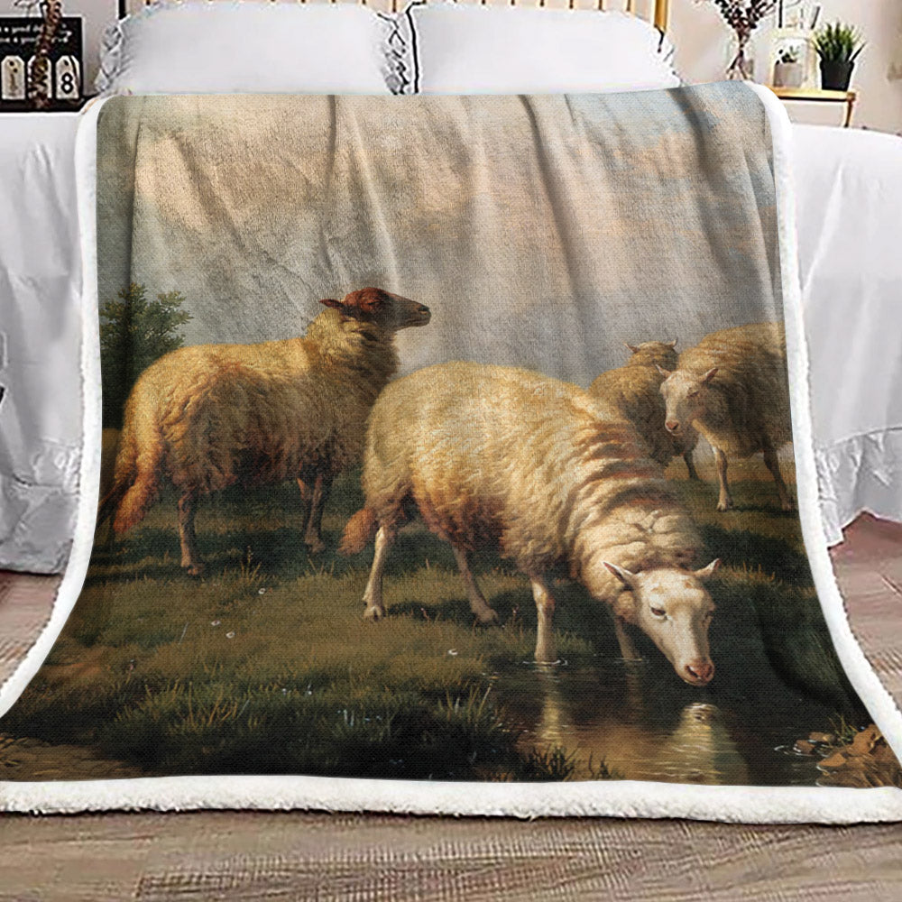 Sheep DN2309146F Sherpa Fleece Blanket