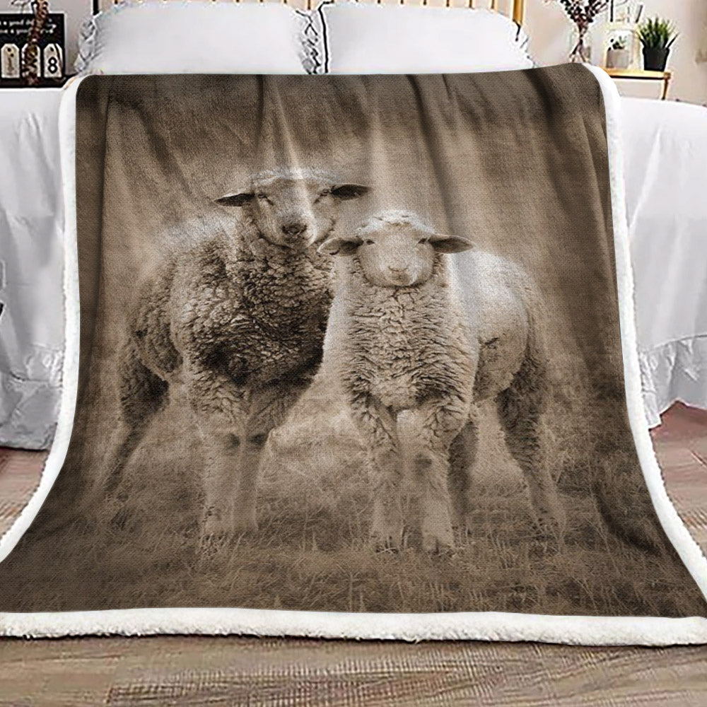 Sheep HN2210207F Sherpa Fleece Blanket
