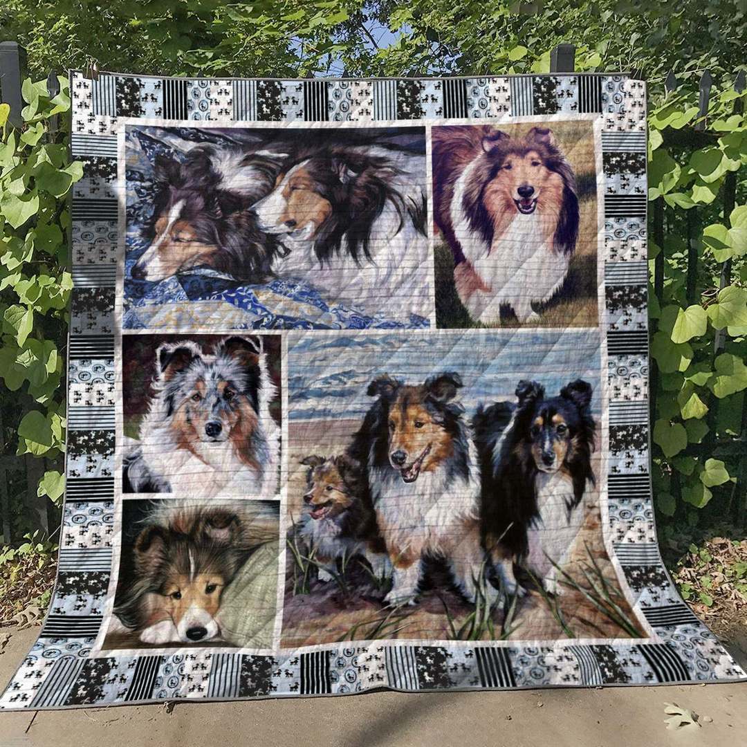 Shetland Sheepdog HM120617 Quilt Blanket