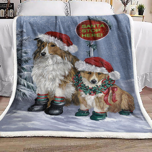 Shetland Sheepdog Christmas HN1111295F Sherpa Fleece Blanket